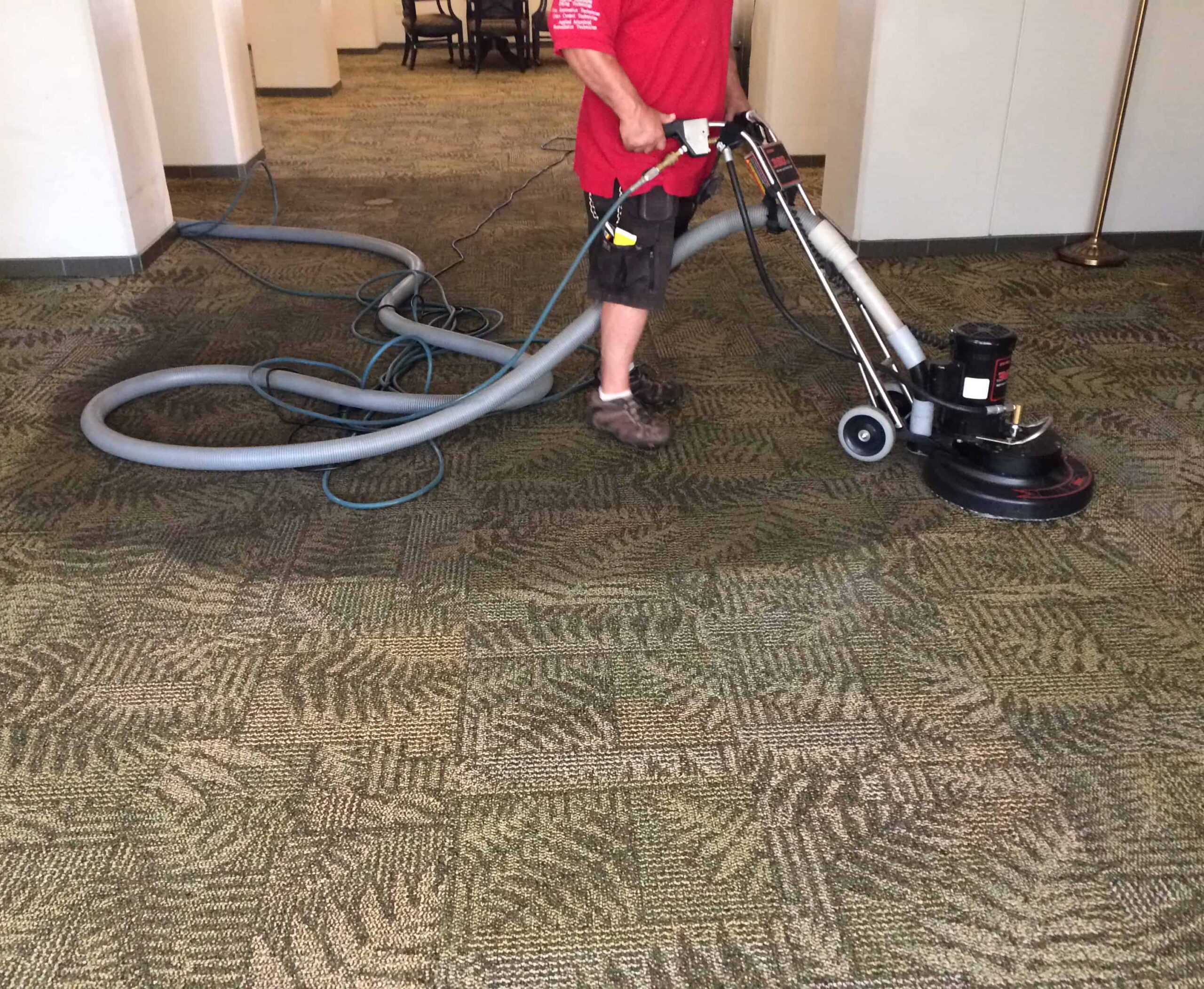 professional carpet cleaning versus diy